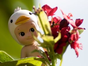 Red Flower