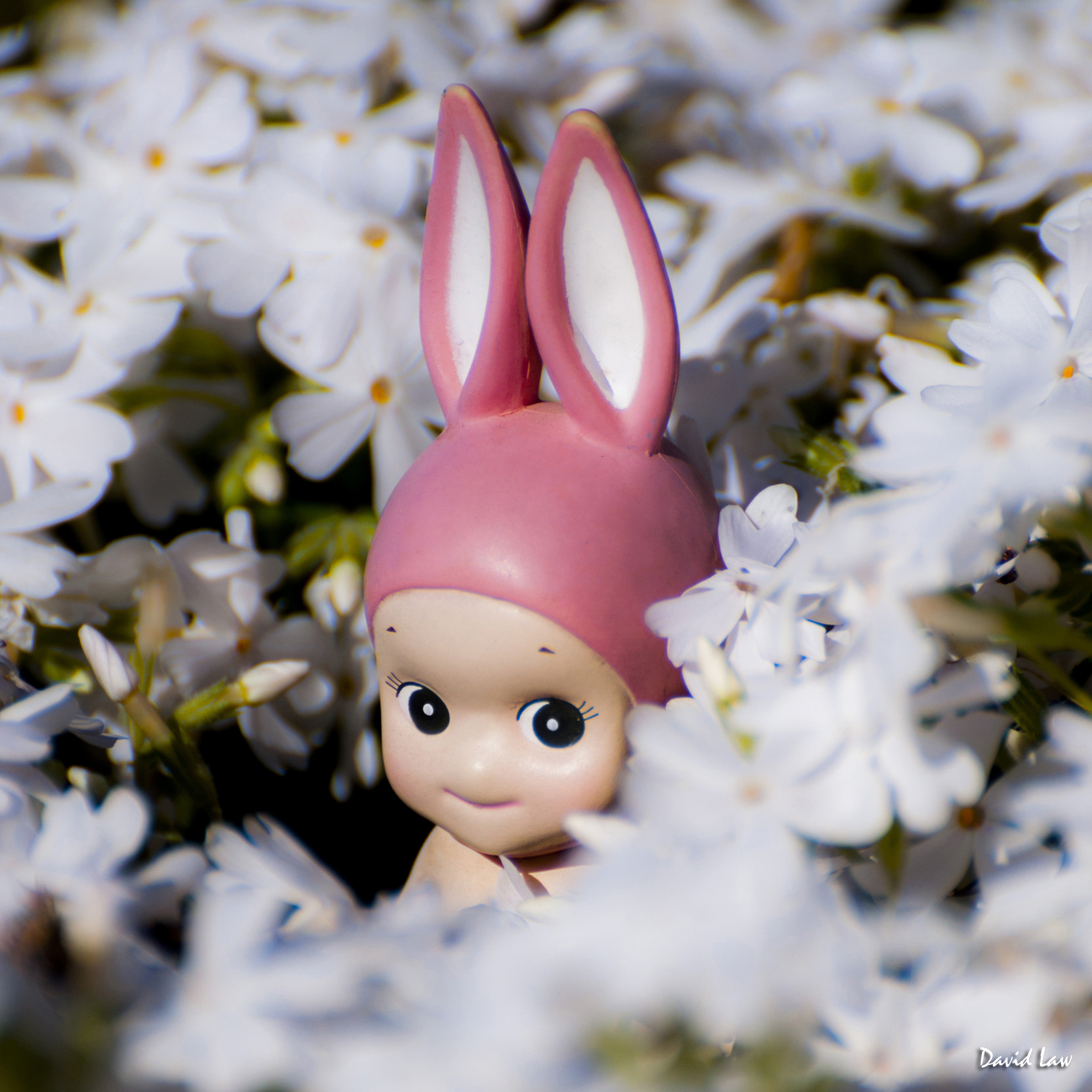 Rabbit on Blossoms II Squ copie