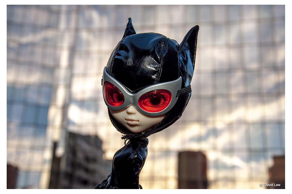 Catwoman Sunset ldh s0220