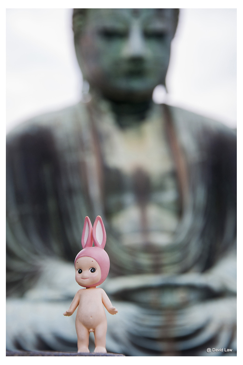 Rabbit and Buddha lav s0220