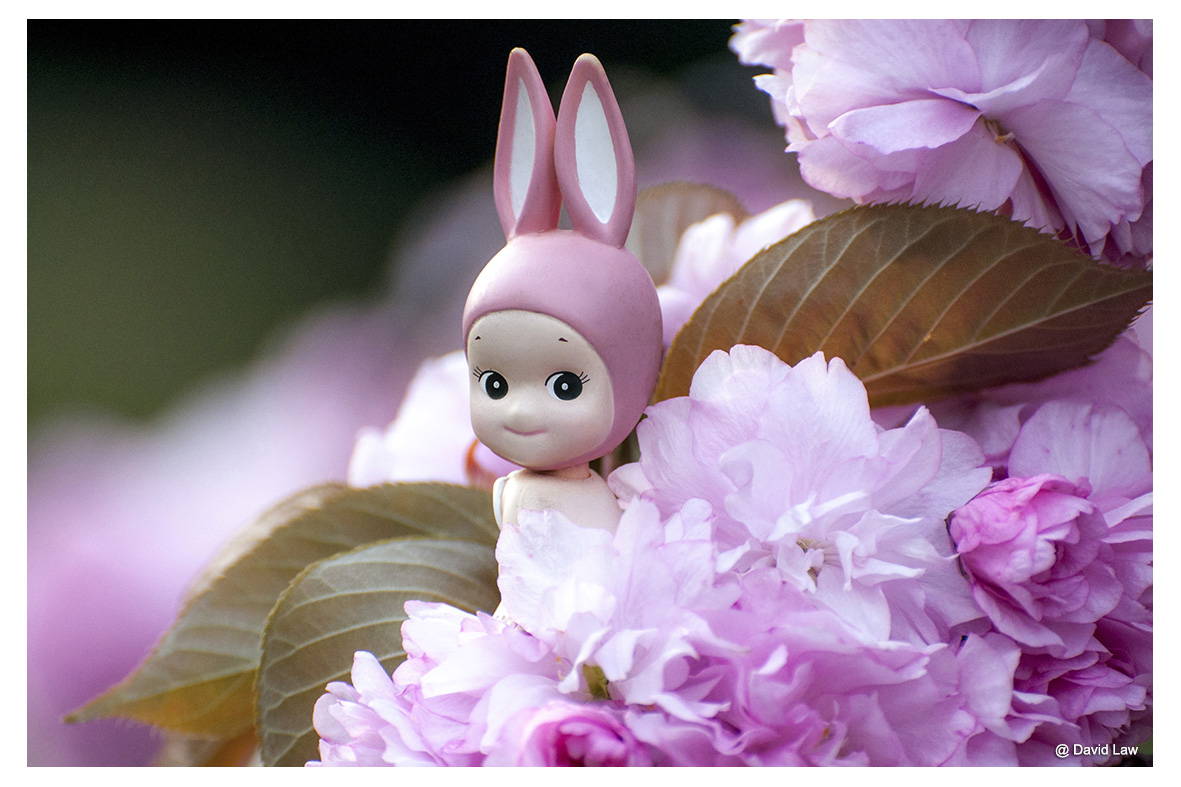 Rabbit on Blossoms lah s0220