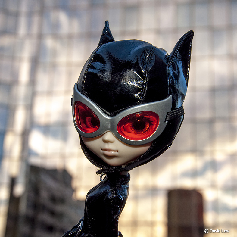 catwoman sunset square cds0220