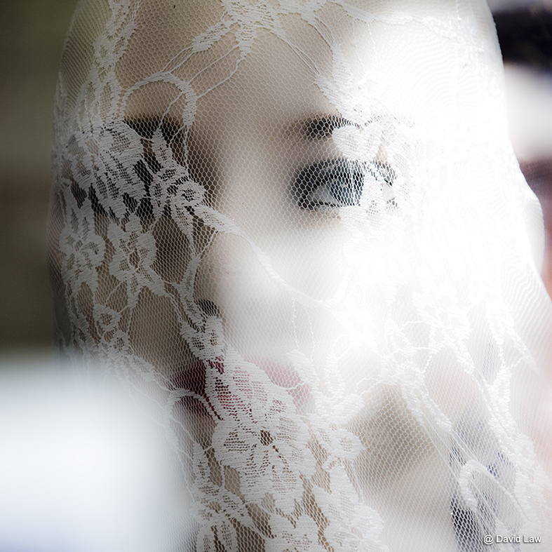 veiled of lace ii square cgs0220