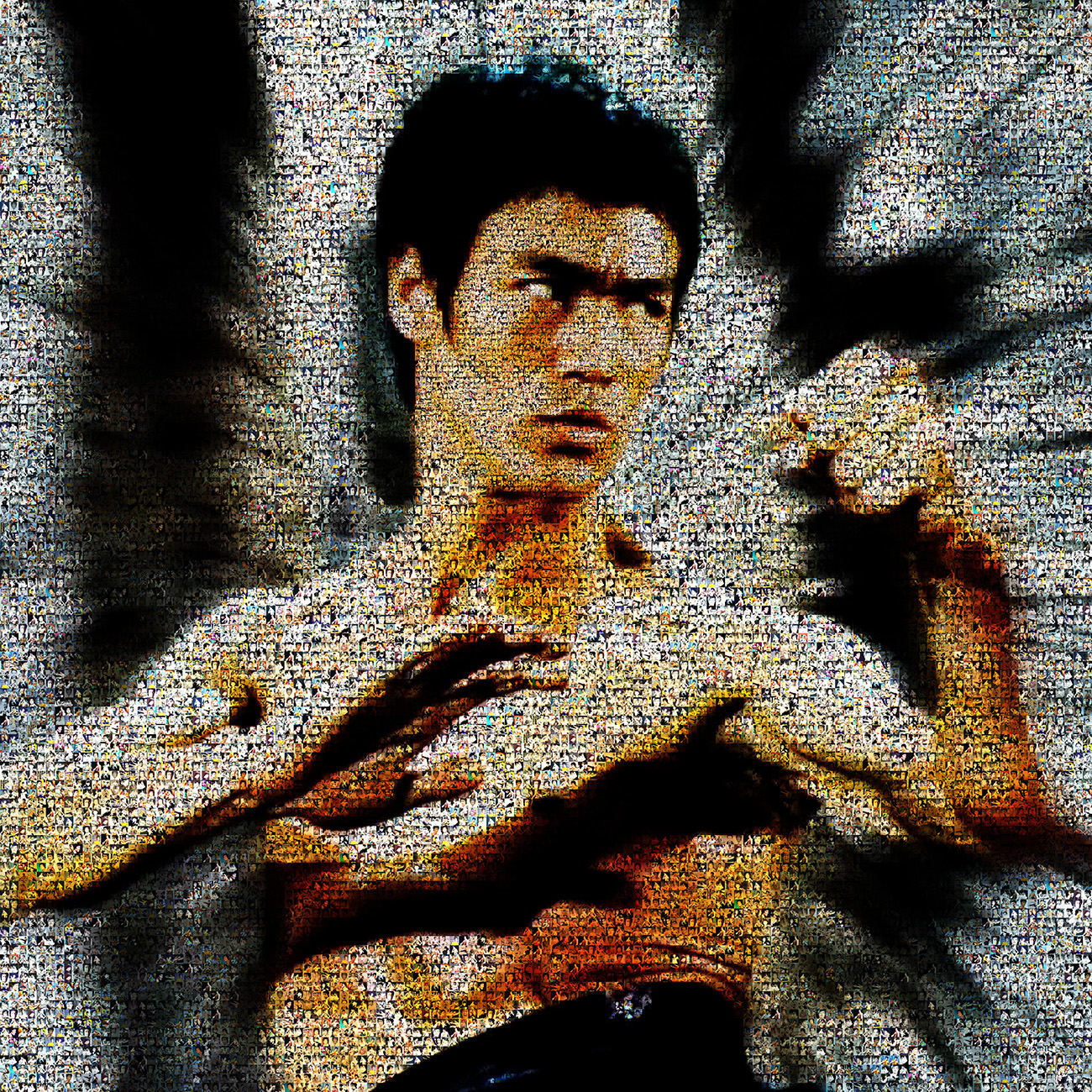 Bruce Lee 60x60 site