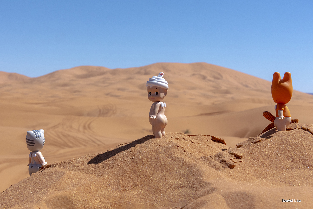 Back in desert copie