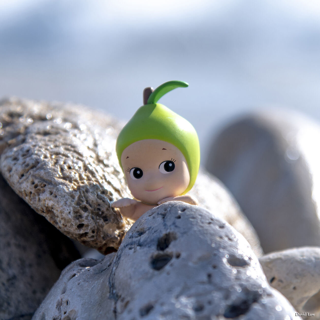 Beach Pebbles Square copie