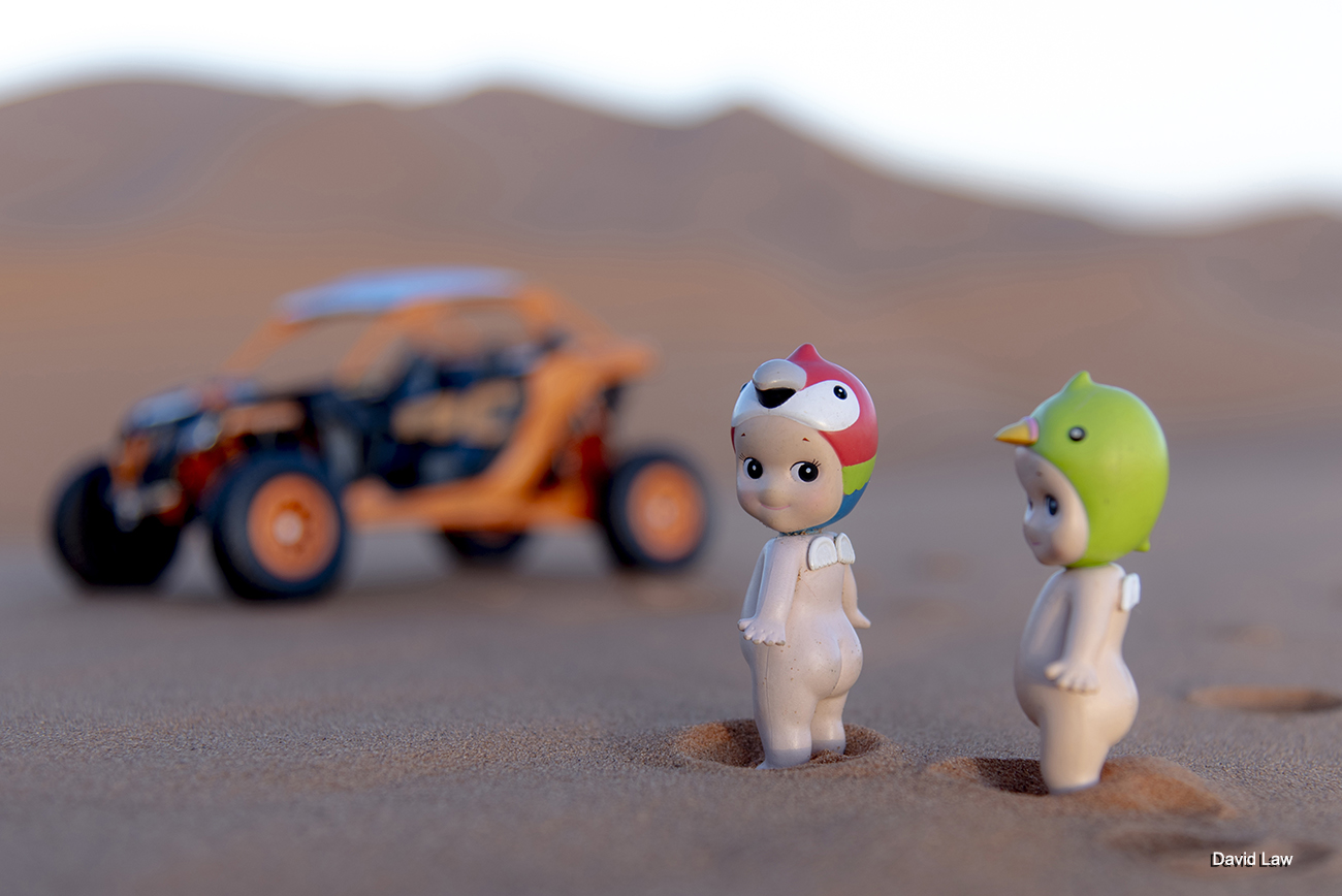 Buggy Day copie