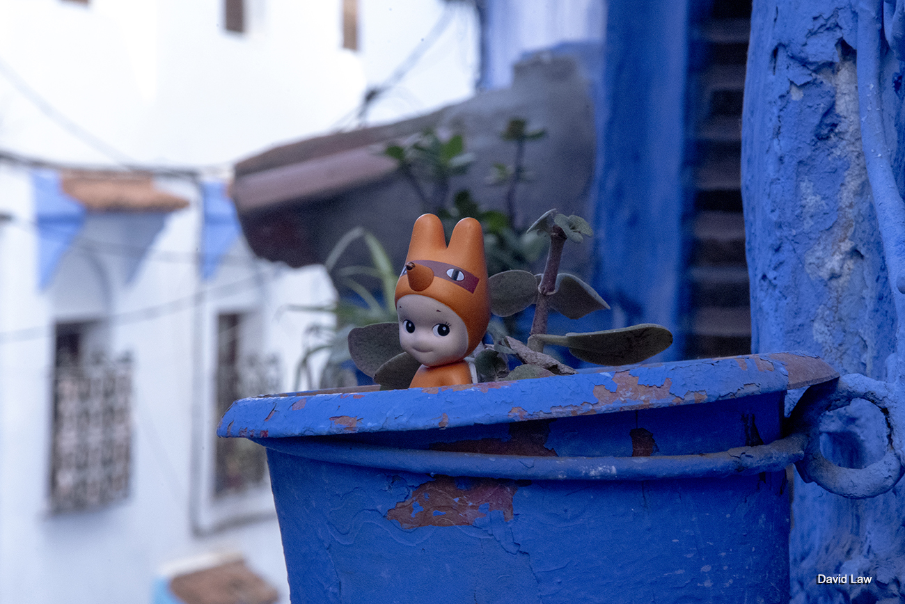 Chefchaouen Inside copie