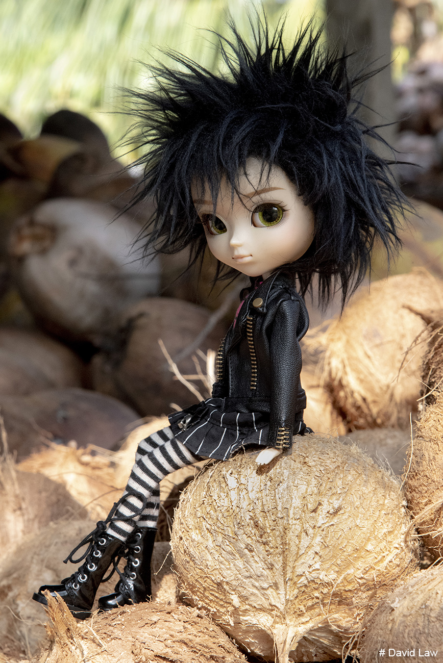 Coconut Doll copie