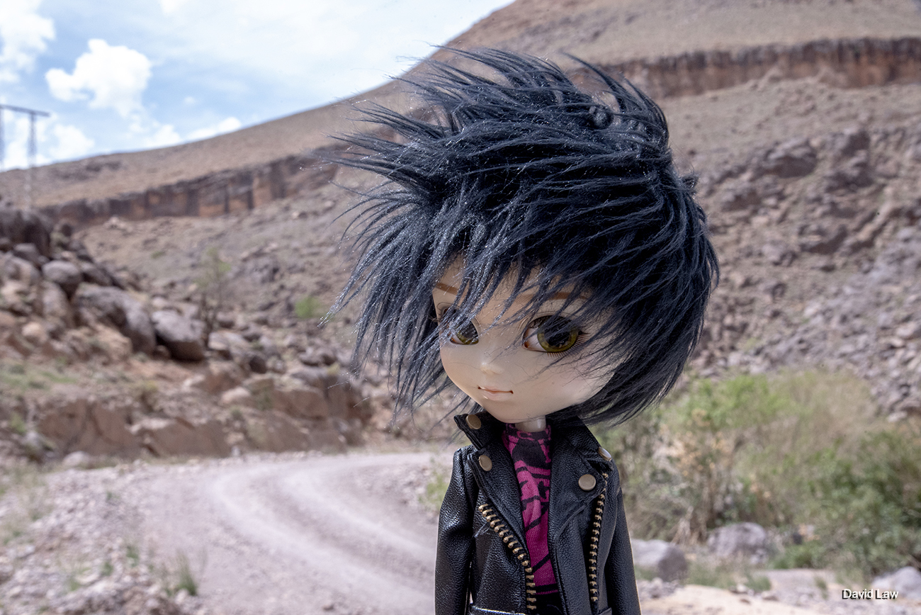 Desert Wind copie 1
