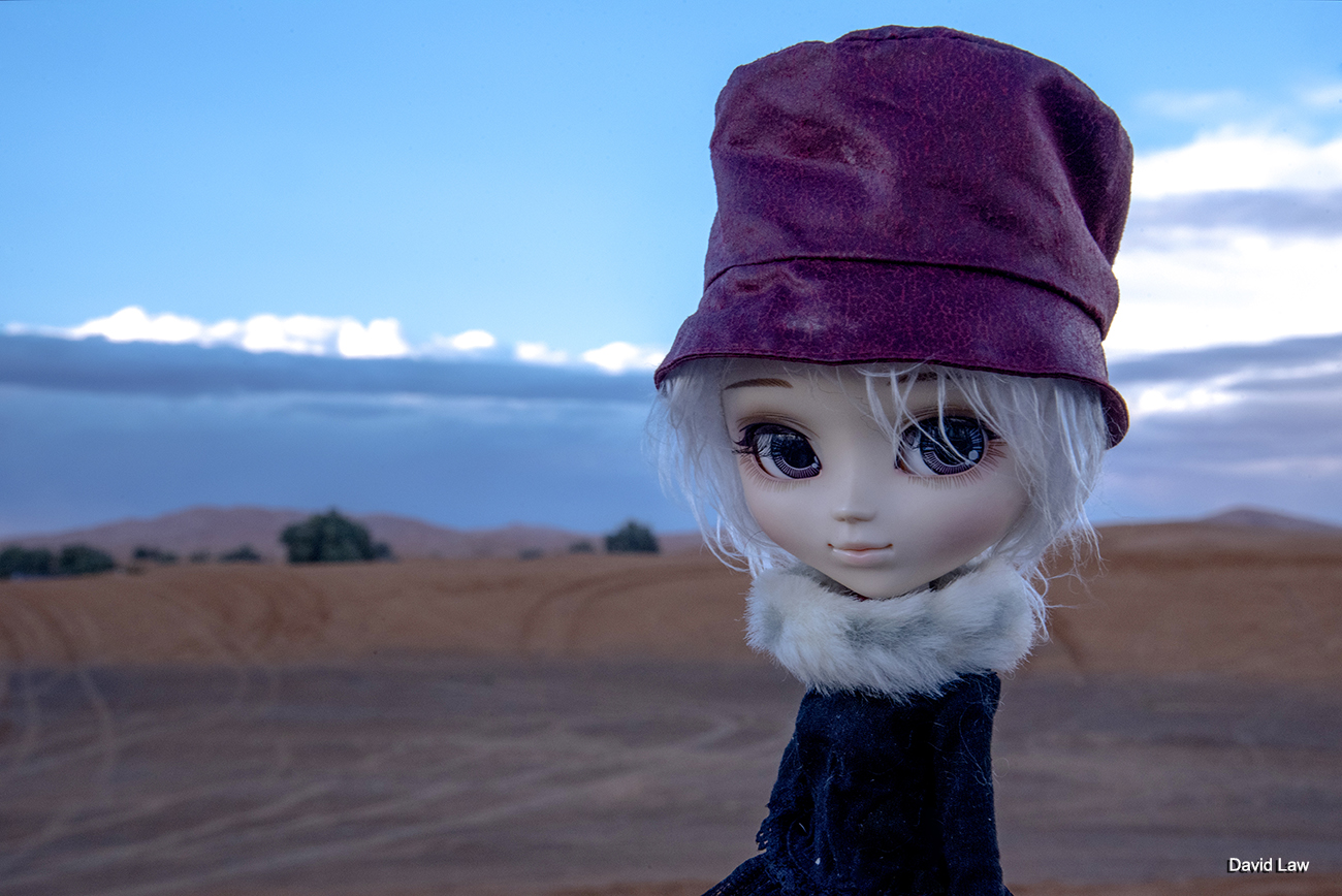 Deserts Edge copie 1