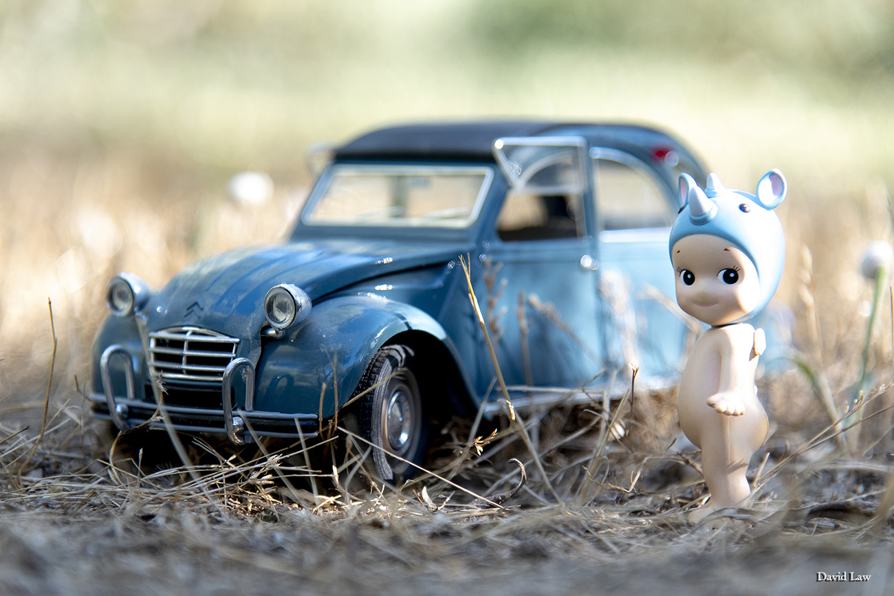 Drive my car 20x30 copie