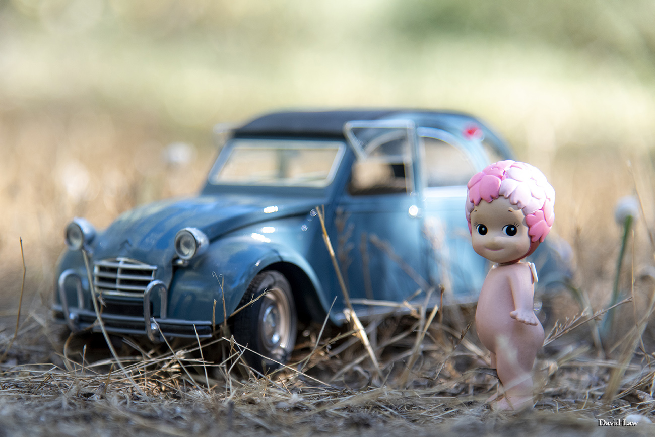 Drive my car II copie