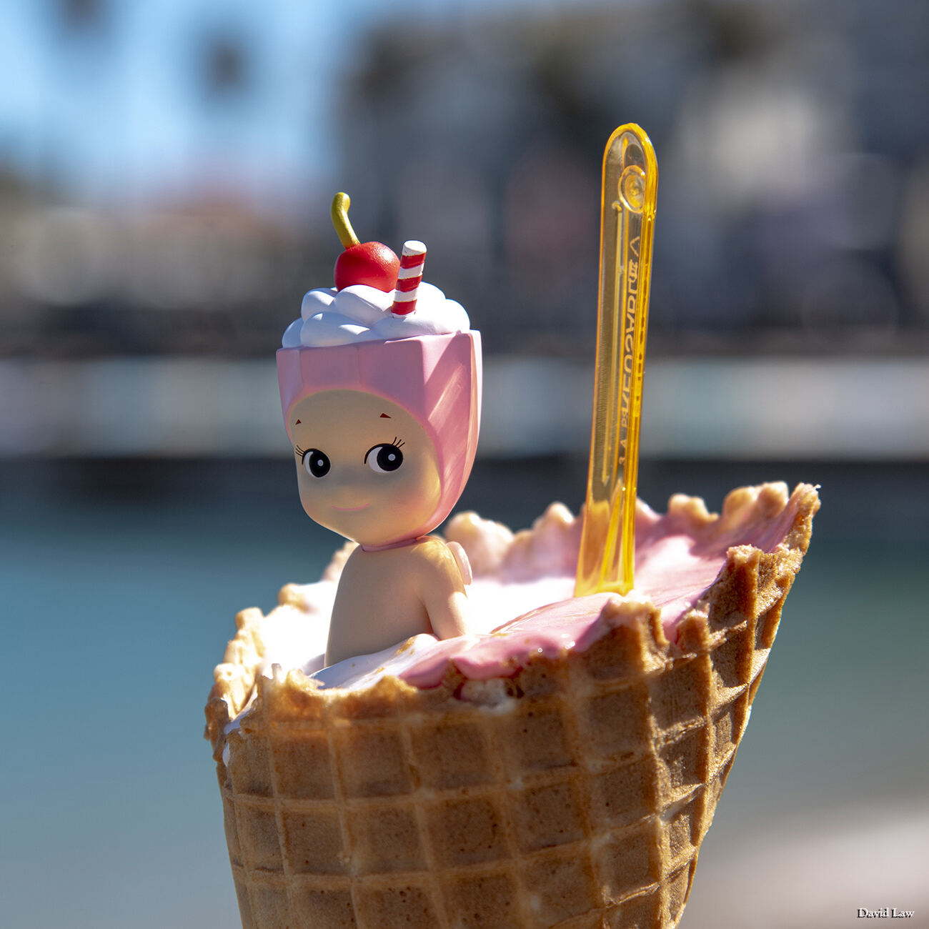 Ice Cream III Square copie