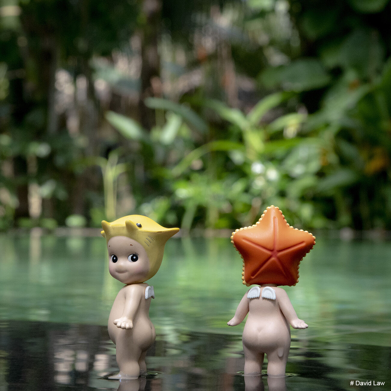 Jungle Pool square copie