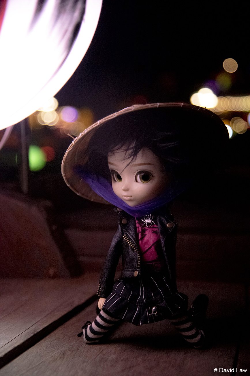 Lantern Bay copie