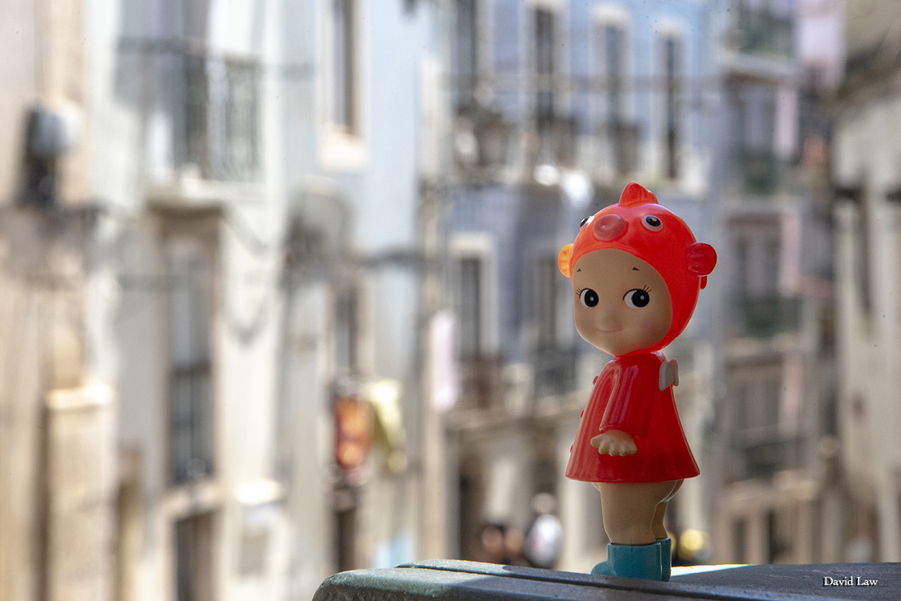Lisboa Street copie