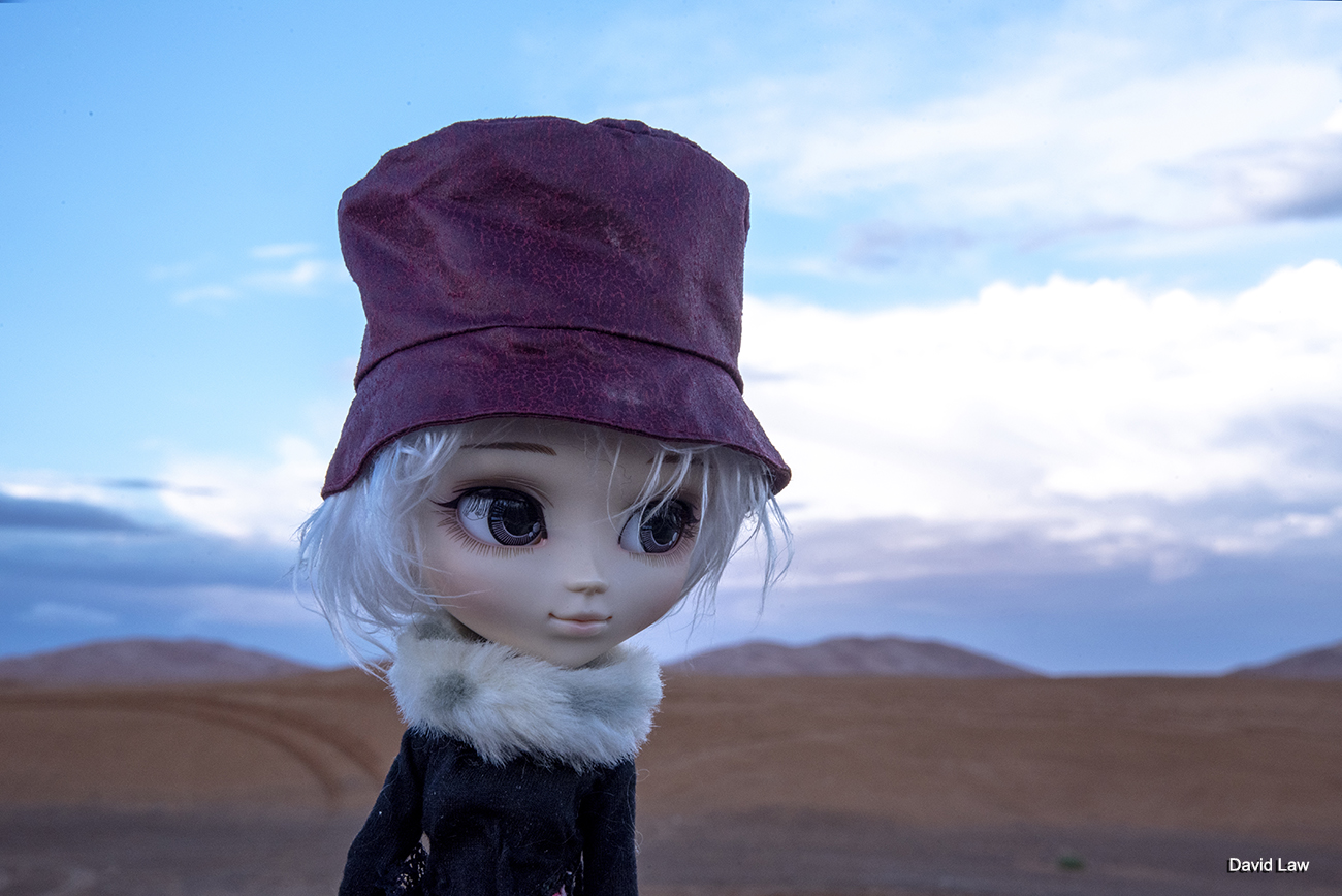 Lost Rider copie