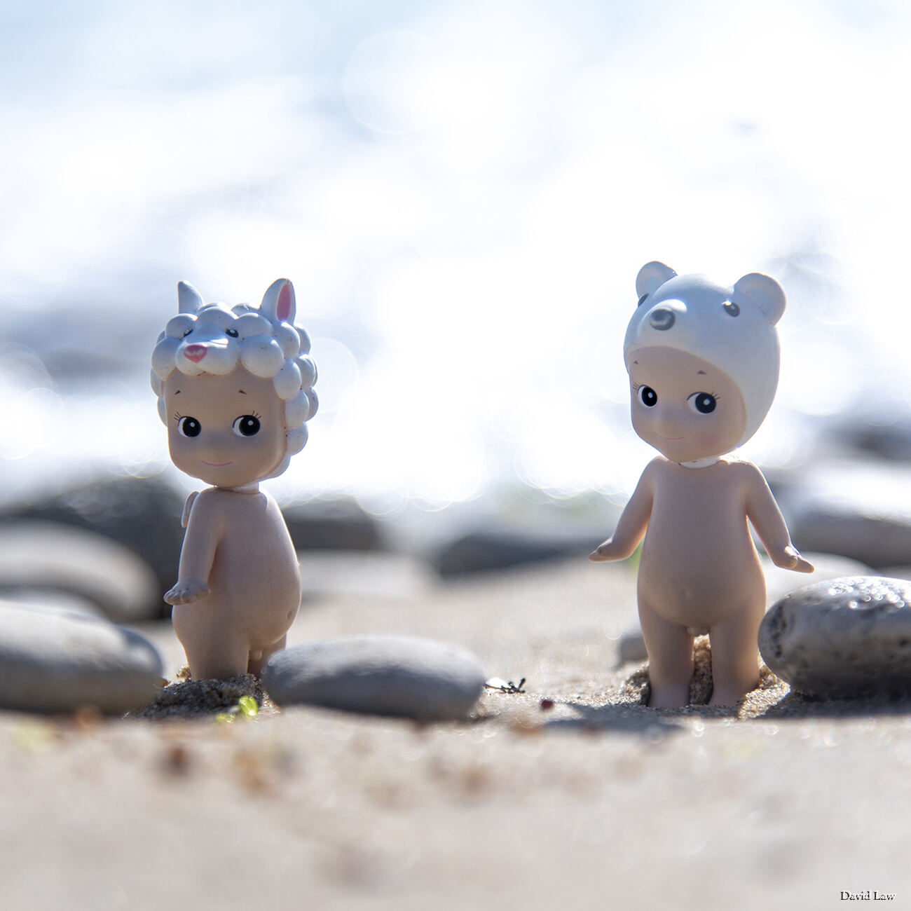 Sea and Sun copie