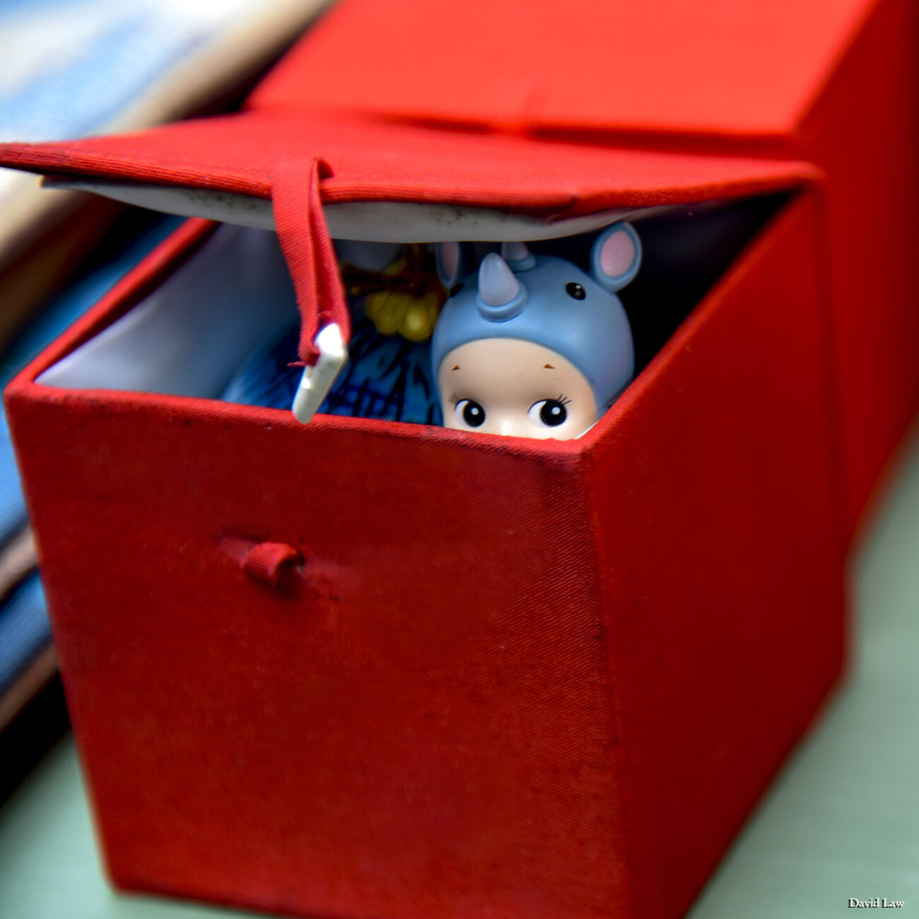 The Box Square copie