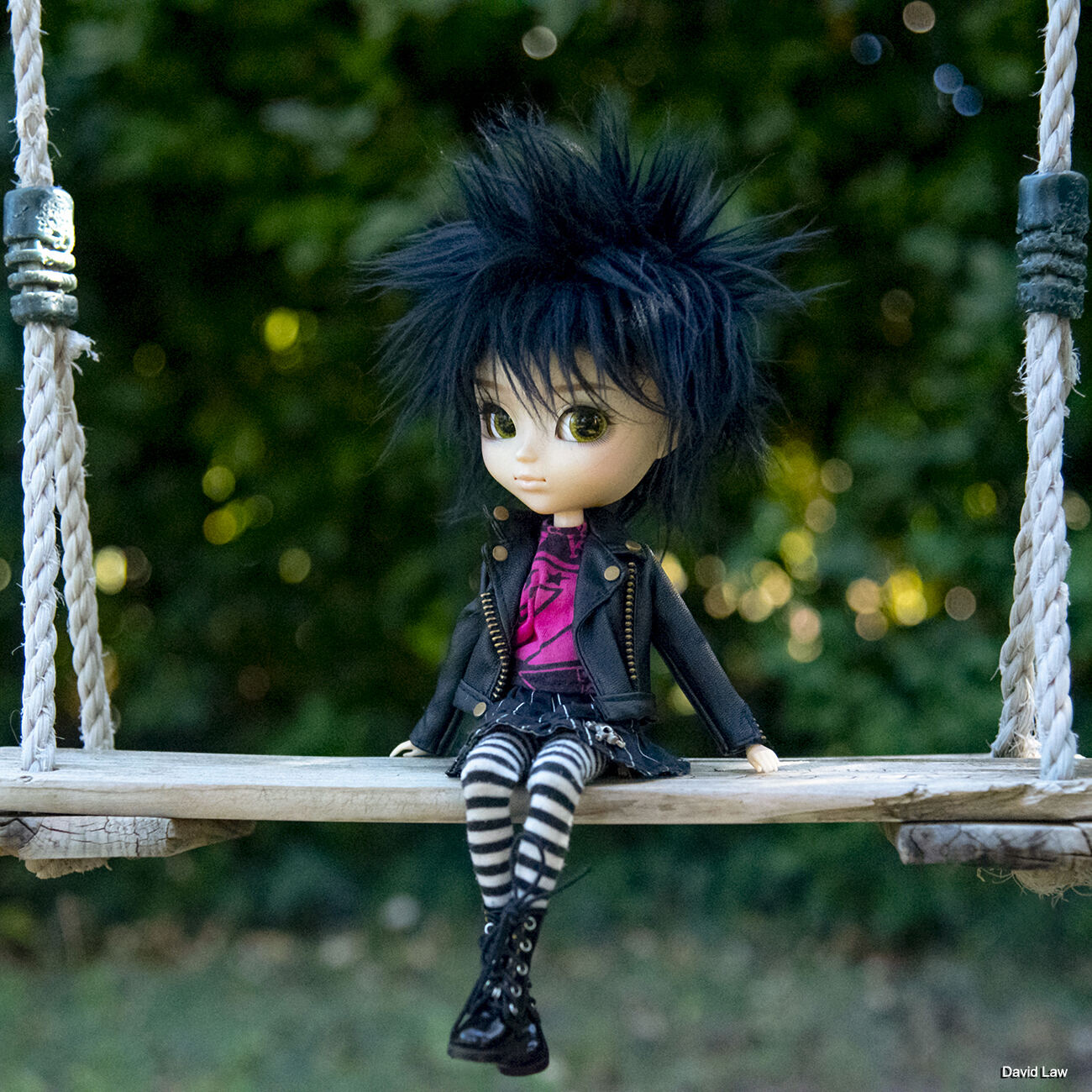 The Swing copie