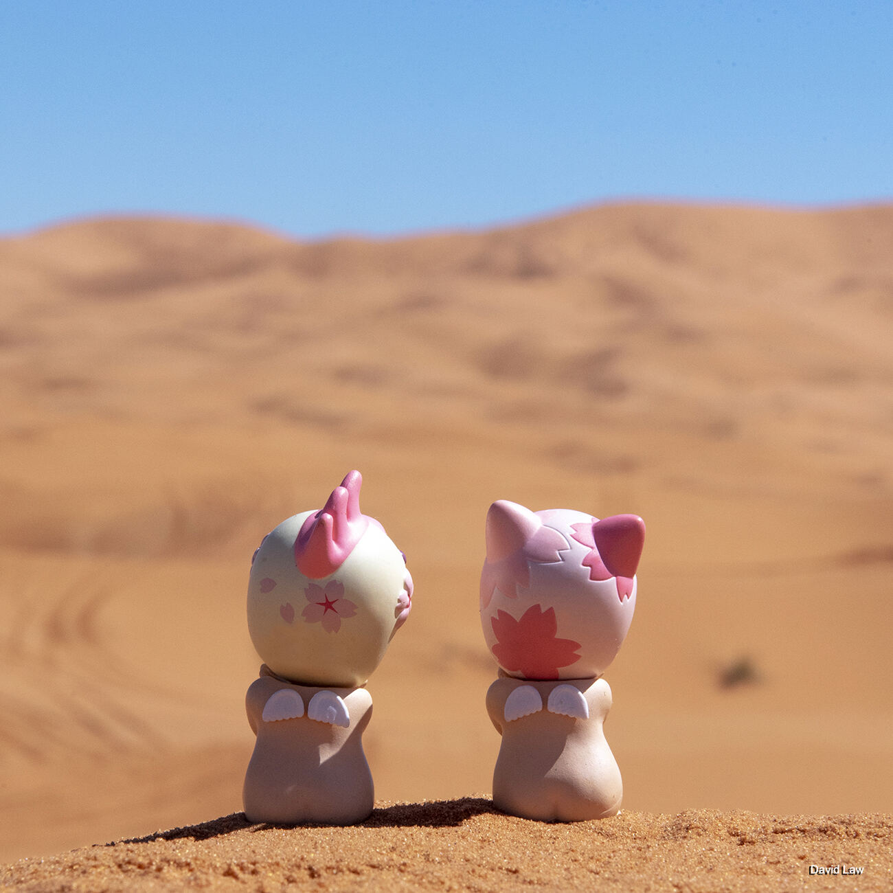 Twins @ Merzouga II square copie 1