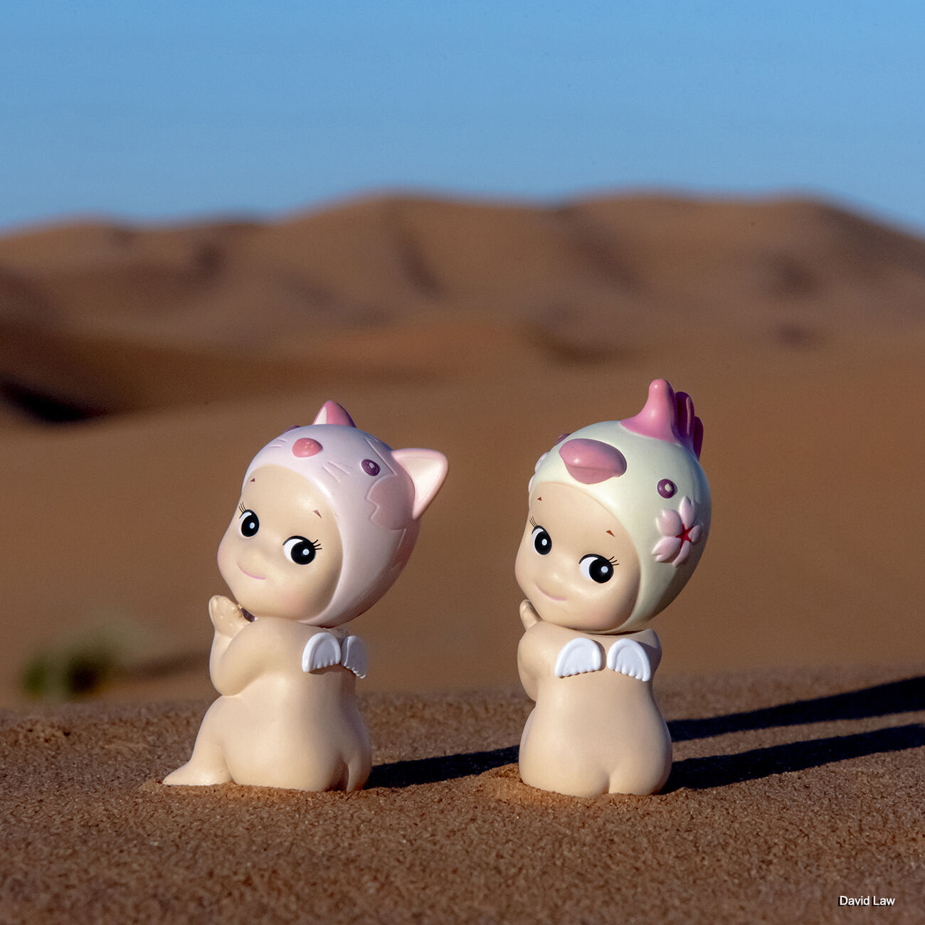 Twins @ Merzouga copie