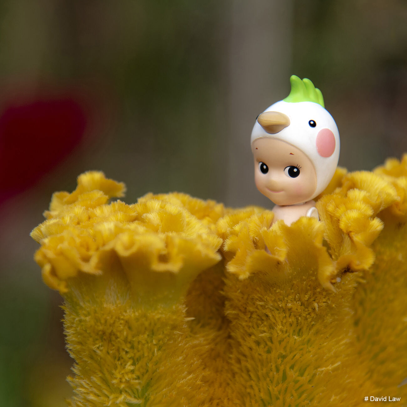 Yellow Cocoon copie