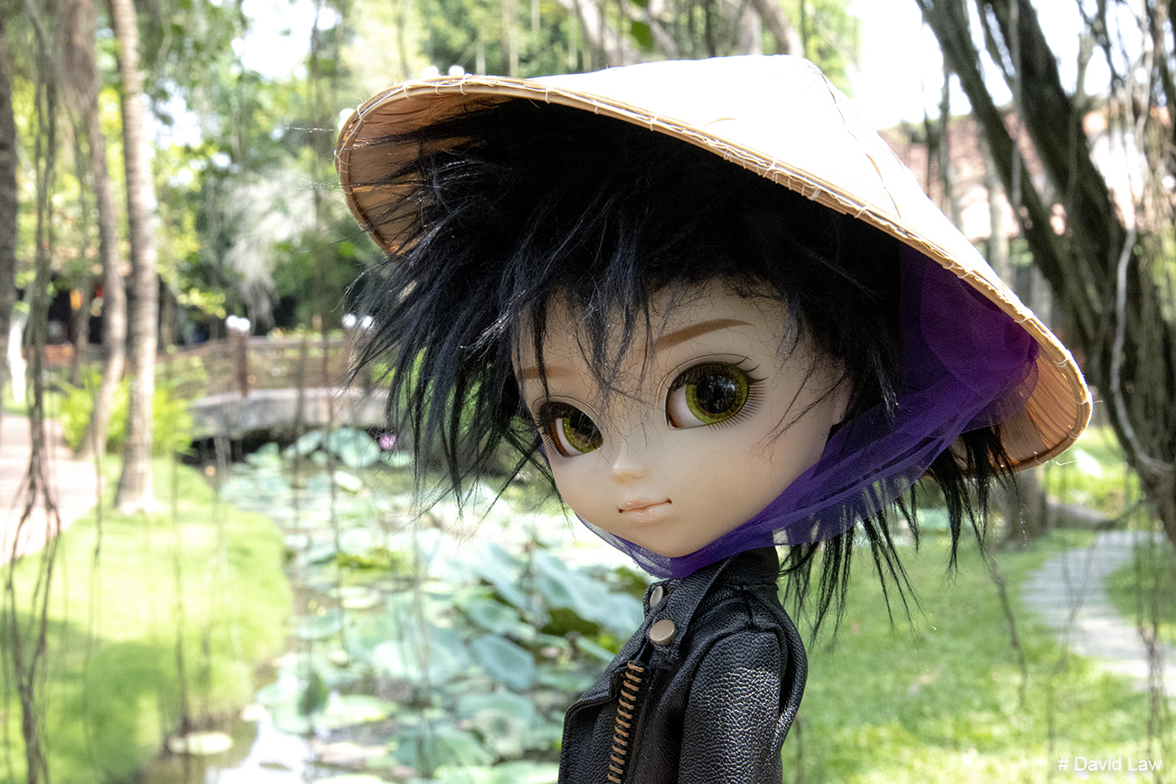 Zen Garden copie